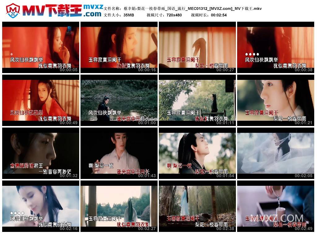 蔡幸娟-梨花一枝春带雨_国语_流行_MEC01312